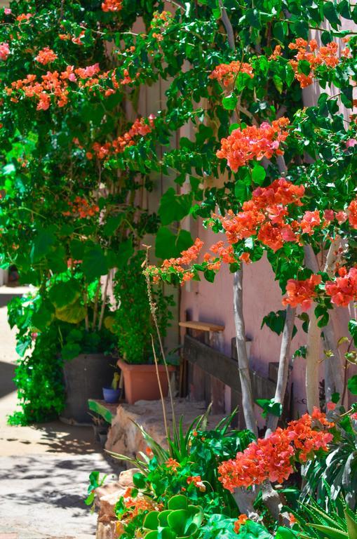 Home Suites Chersonissos Buitenkant foto